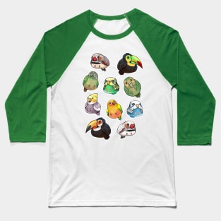 Birds! Baseball T-Shirt